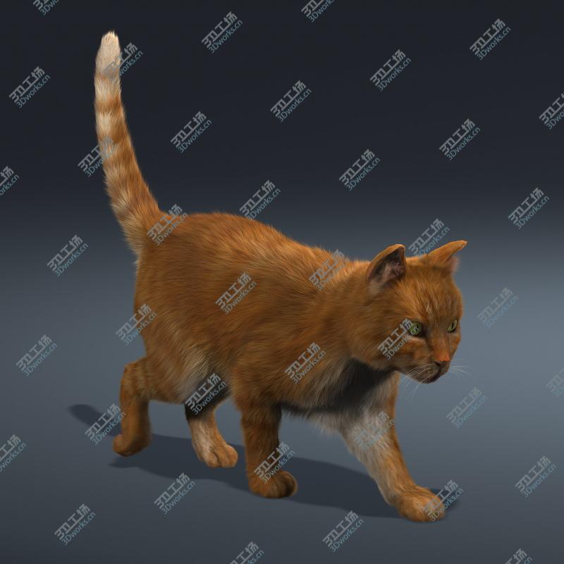 images/goods_img/20210319/Cat (Orange Tabby) (FUR) (ANIMATED)/3.jpg